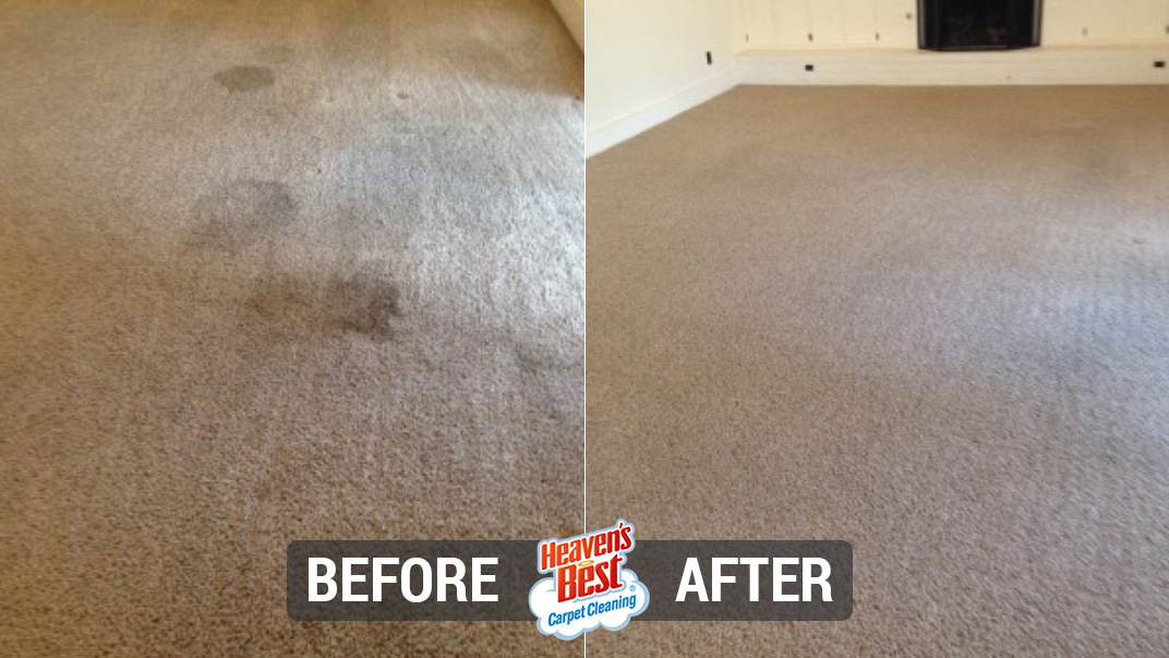 Heaven's Best Carpet Cleaning of East Bay