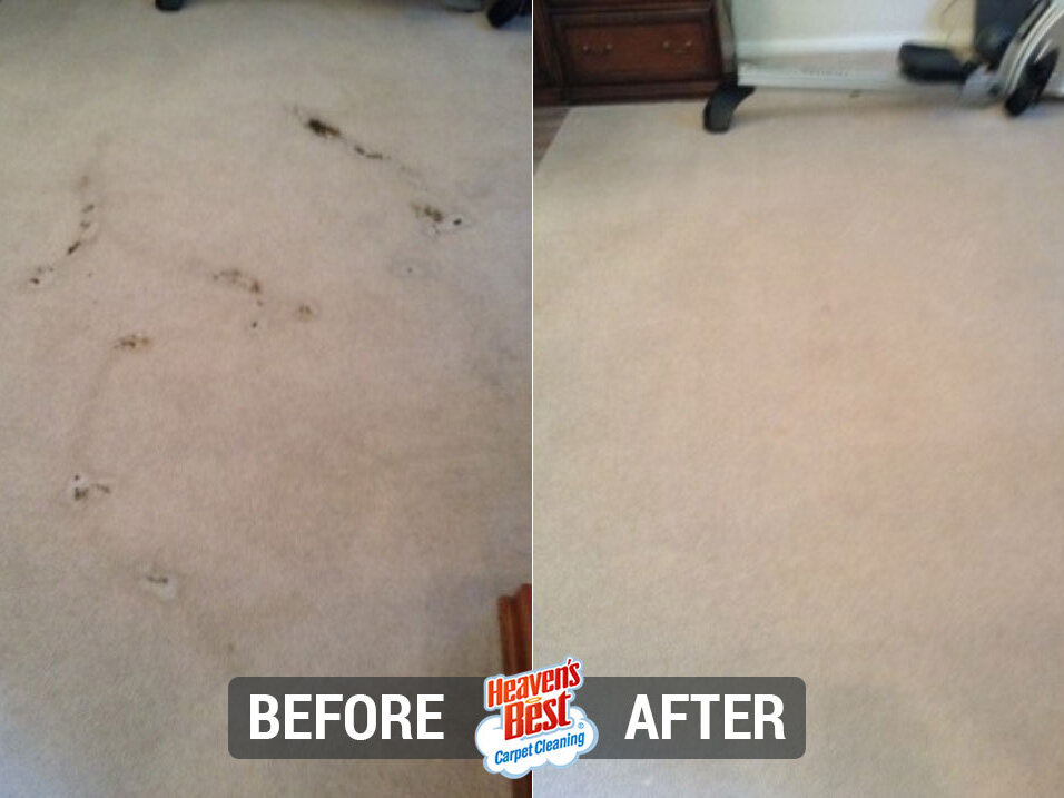 Heaven's Best Carpet Cleaning of East Bay