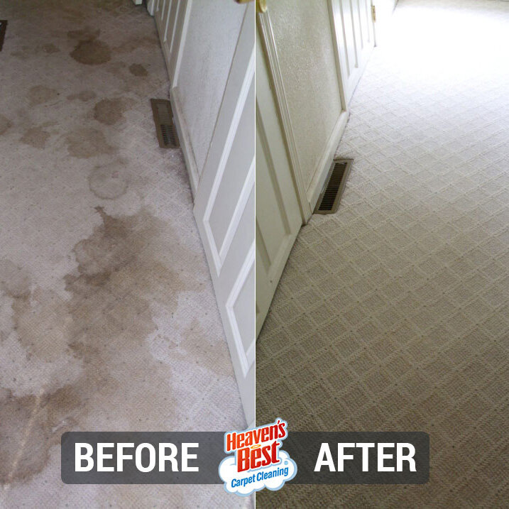 Heaven's Best Carpet Cleaning of East Bay